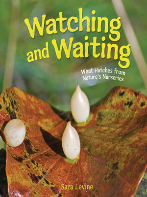 cover image of Watching and Waiting